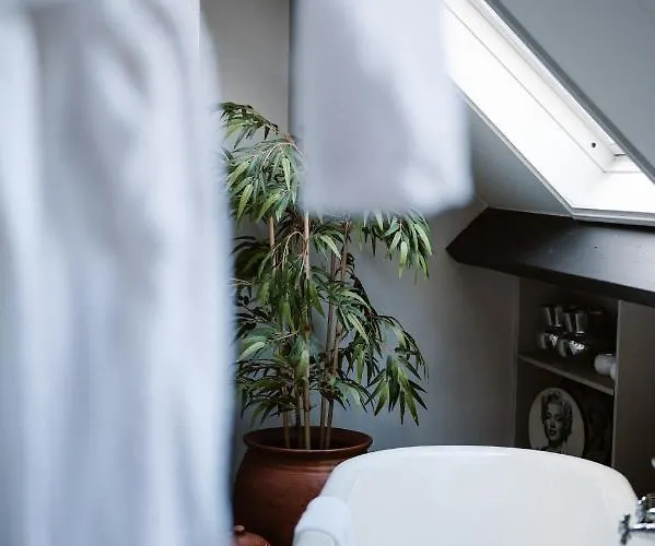 Amadeus Restaurant & Boutique Ξενοδοχείο