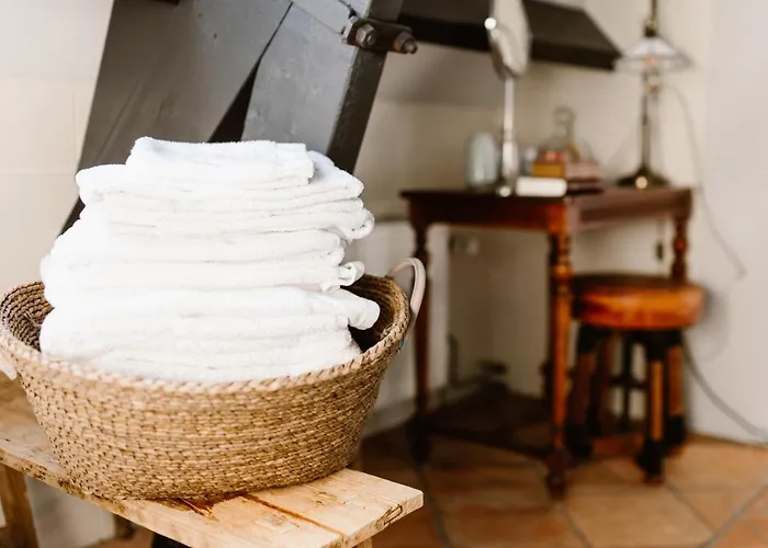 Hotel Amadeus Restaurant & Boutique Well (Gelderland)