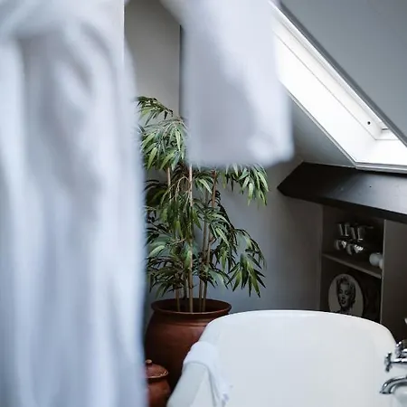 Amadeus Restaurant & Boutique Hotel