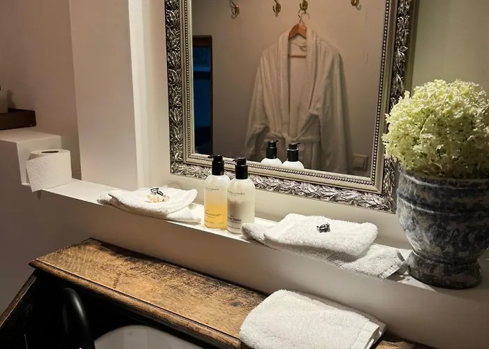 מלון Amadeus Restaurant & Boutique Well (Gelderland)